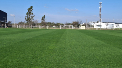 Una de las canchas del Complejo El Norte. El verde c&eacute;sped espera. 