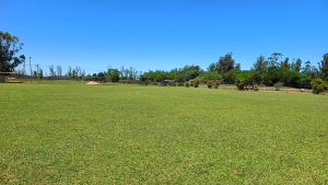 El predio de Aciadep, donde se concentrar&aacute;n los partidos de primera fase y semis del Sudamericano. 